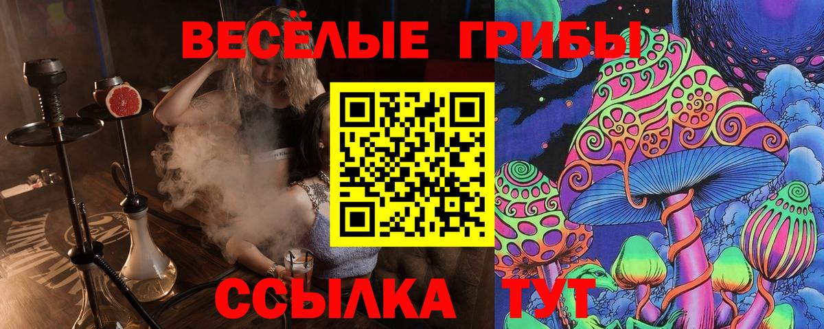 Ишим  Галлюциногенные грибы ЛСД  Вход с VPN 
