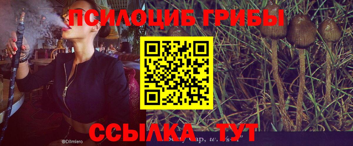 Псилоцибиновые грибы прущие грибы Ишим